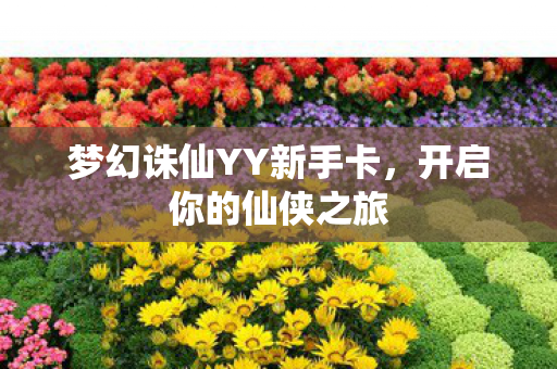 梦幻诛仙YY新手卡图片