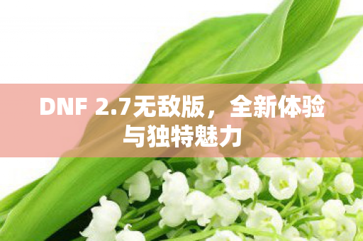 全新体验与独特魅力图片