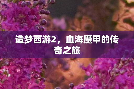 血海魔甲的传奇之旅图片