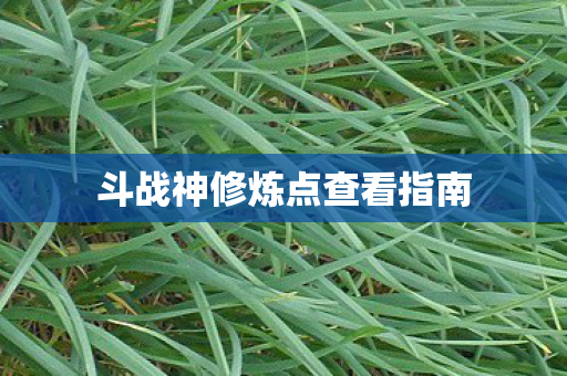 斗战神修炼点查看指南图片