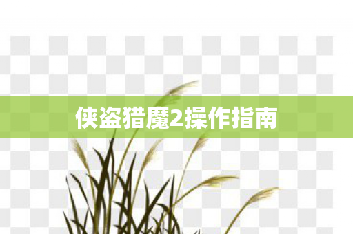 侠盗猎魔2操作指南图片