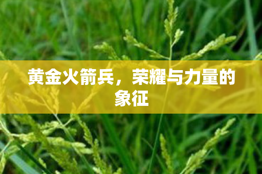 荣耀与力量的象征图片