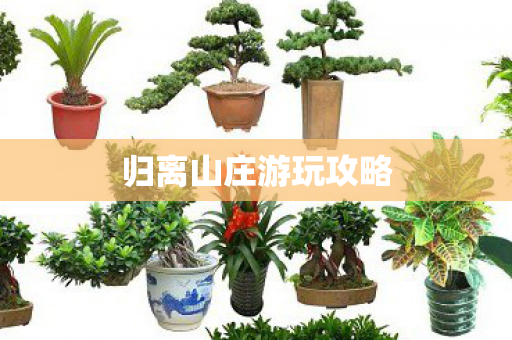 归离山庄游玩攻略图片