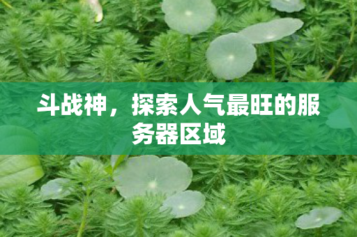 探索人气最旺的服务器区域图片