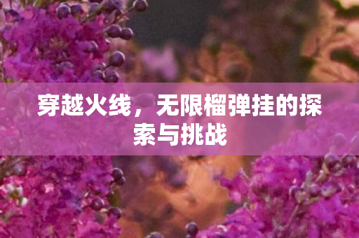 无限榴弹挂的探索与挑战图片