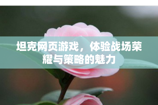 体验战场荣耀与策略的魅力图片