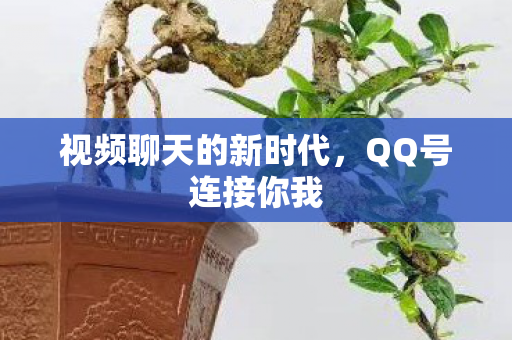 视频聊天的新时代图片