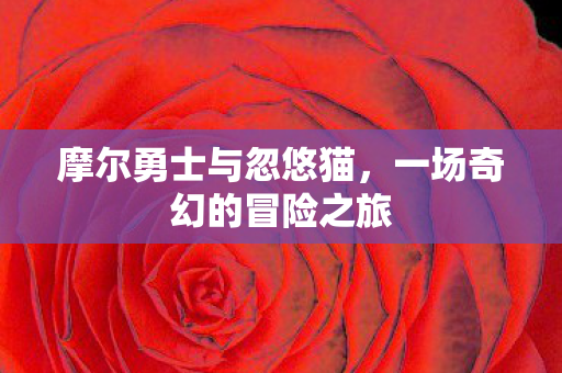 一场奇幻的冒险之旅图片