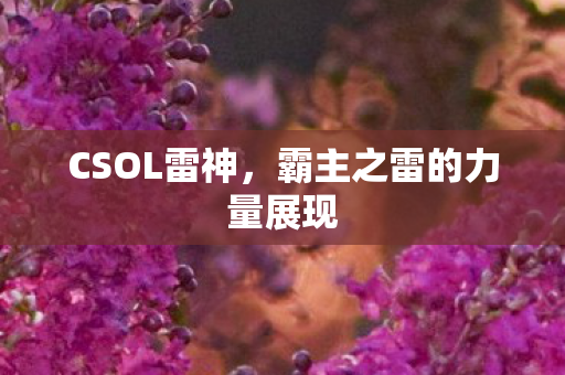 霸主之雷的力量展现图片