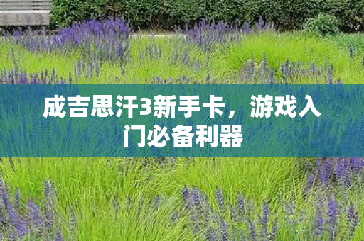 成吉思汗3新手卡图片