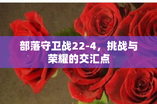 挑战与荣耀的交汇点图片