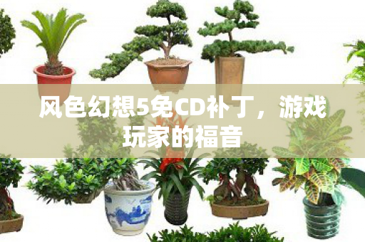 风色幻想5免CD补丁图片