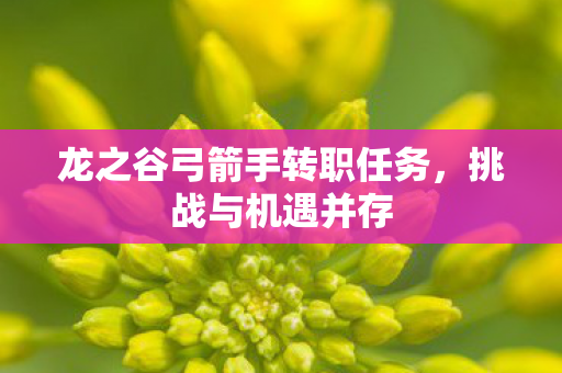 龙之谷弓箭手转职任务图片