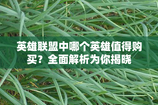 英雄联盟中哪个英雄值得购买图片