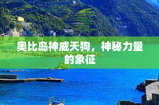 奥比岛神威天狗图片