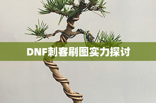 DNF刺客刷图实力探讨图片