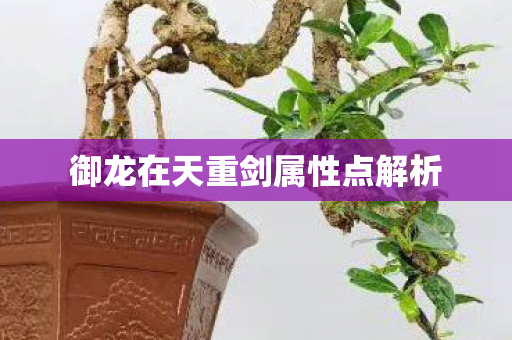 御龙在天重剑属性点解析图片