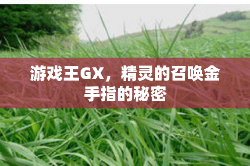 精灵的召唤金手指的秘密图片