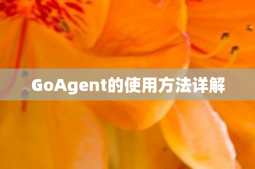 GoAgent的使用方法详解图片