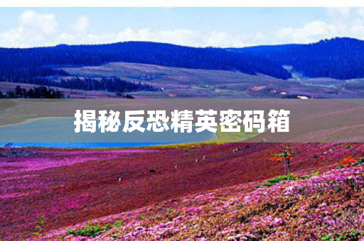 揭秘反恐精英密码箱图片