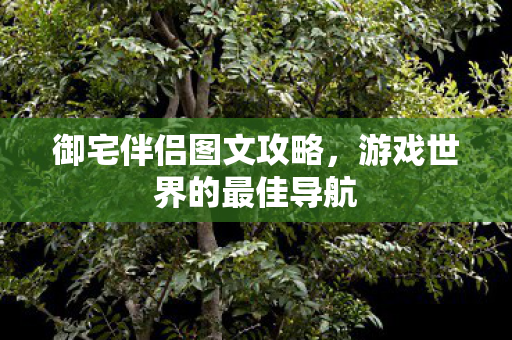 游戏世界的最佳导航图片
