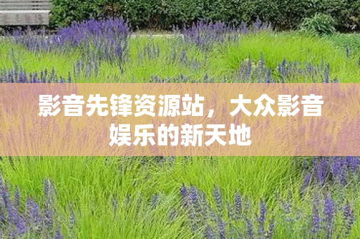 大众影音娱乐的新天地图片