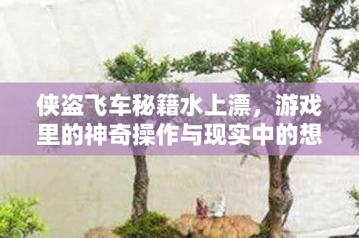 游戏里的神奇操作与现实中的想象图片