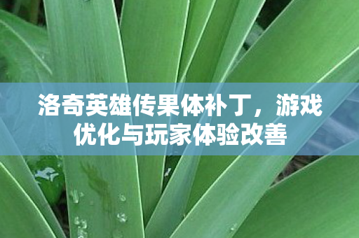 游戏优化与玩家体验改善图片