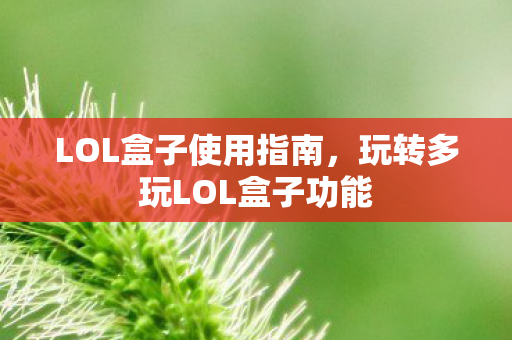 玩转多玩LOL盒子功能图片