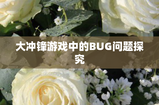 大冲锋游戏中的BUG问题探究图片