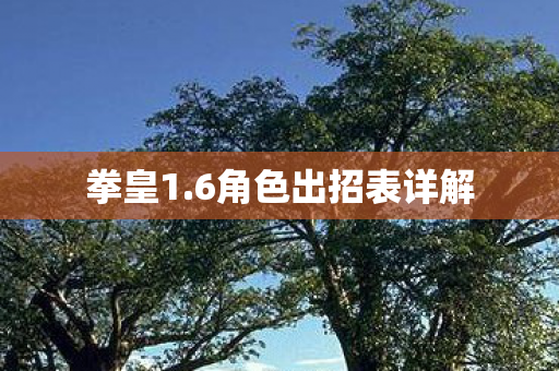 6角色出招表详解图片