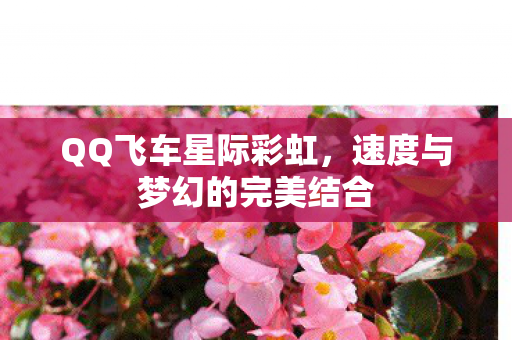 速度与梦幻的完美结合图片