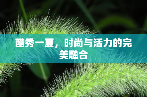 时尚与活力的完美融合图片