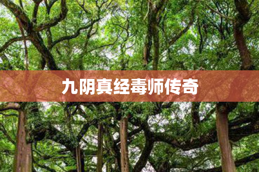 九阴真经毒师传奇图片