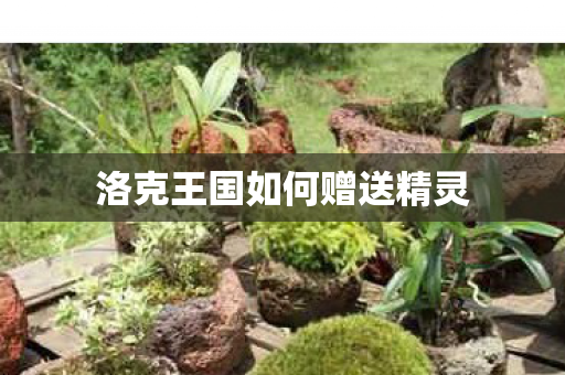 洛克王国如何赠送精灵图片