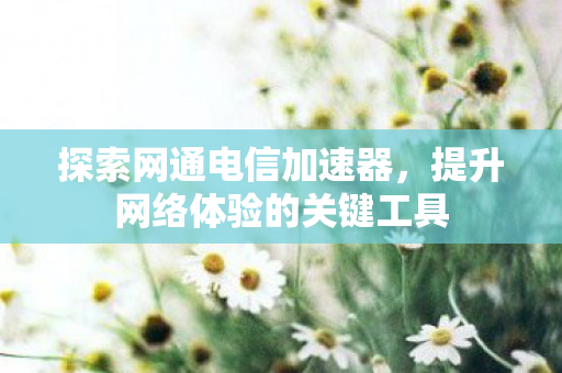 提升网络体验的关键工具图片