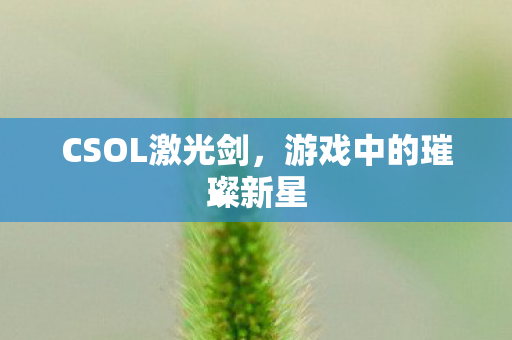 游戏中的璀璨新星图片