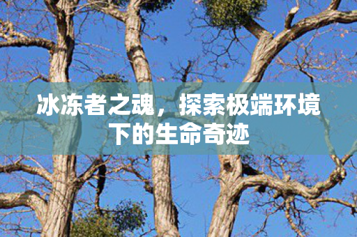 探索极端环境下的生命奇迹图片
