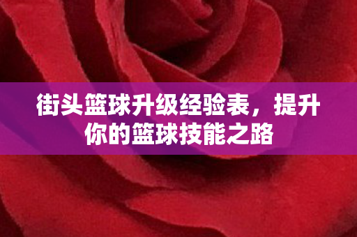 提升你的篮球技能之路图片