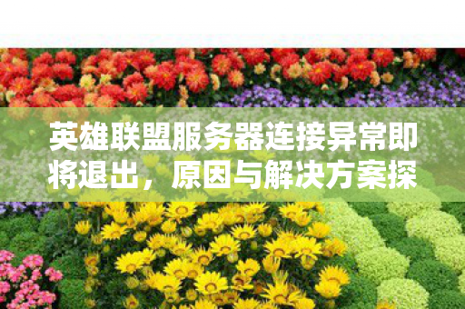 英雄联盟服务器连接异常即将退出图片