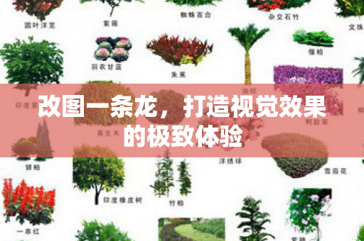 打造视觉效果的极致体验图片