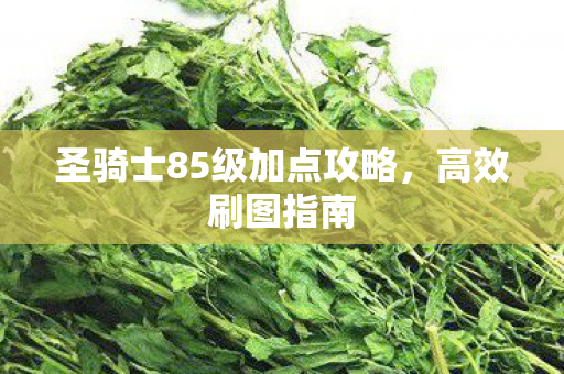 圣骑士85级加点攻略图片