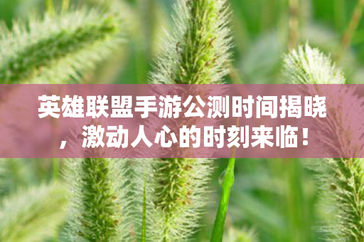 英雄联盟手游公测时间揭晓图片