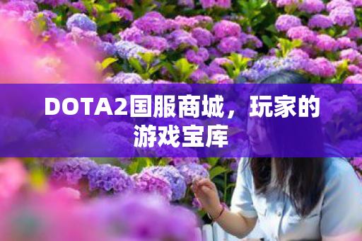 DOTA2国服商城图片