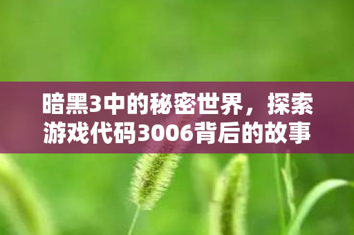 探索游戏代码3006背后的故事图片