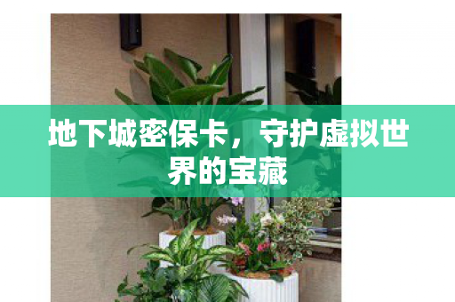 守护虚拟世界的宝藏图片