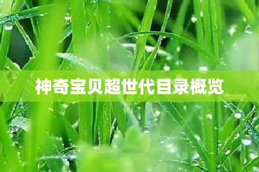 神奇宝贝超世代目录概览图片
