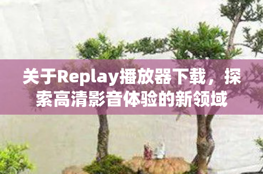 关于Replay播放器下载图片
