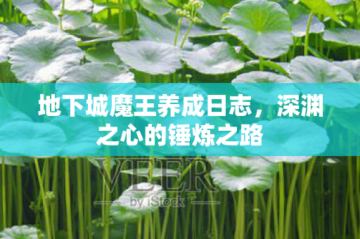 地下城魔王养成日志图片