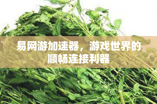 游戏世界的顺畅连接利器图片